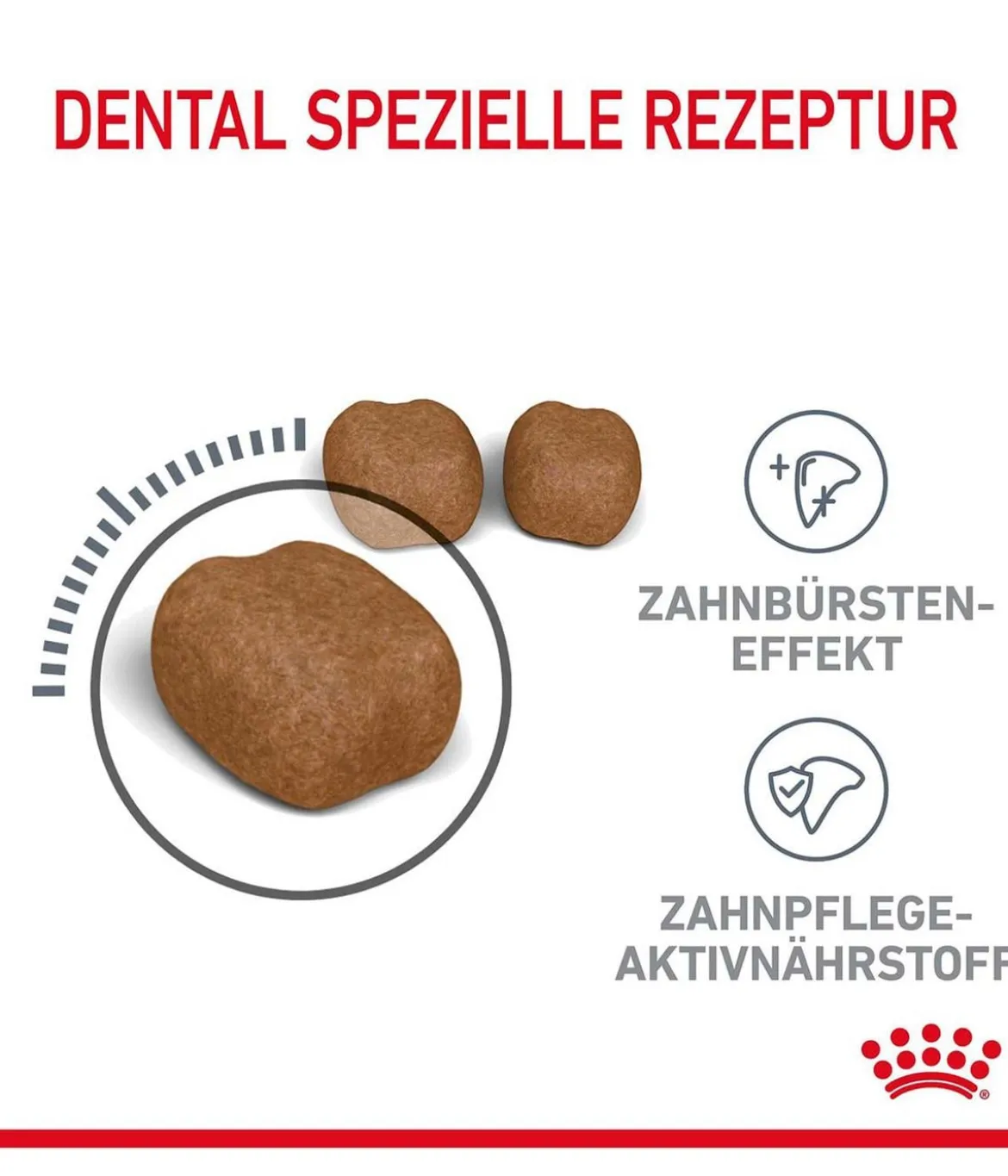 ROYAL CANIN® Trockenfutter für Katzen Dental Care