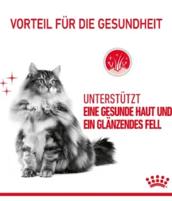 ROYAL CANIN® Trockenfutter für Katzen Hair & Skin Care