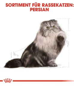 ROYAL CANIN® Trockenfutter für Katzen Persian Adult