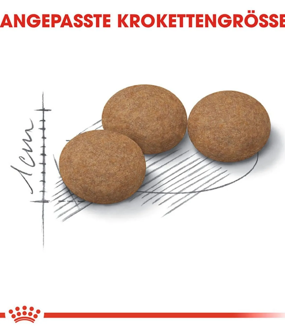 ROYAL CANIN® Trockenfutter für Katzen Ageing 12+ Sterilised