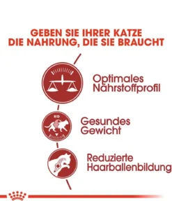 ROYAL CANIN® Trockenfutter für Katzen Fit