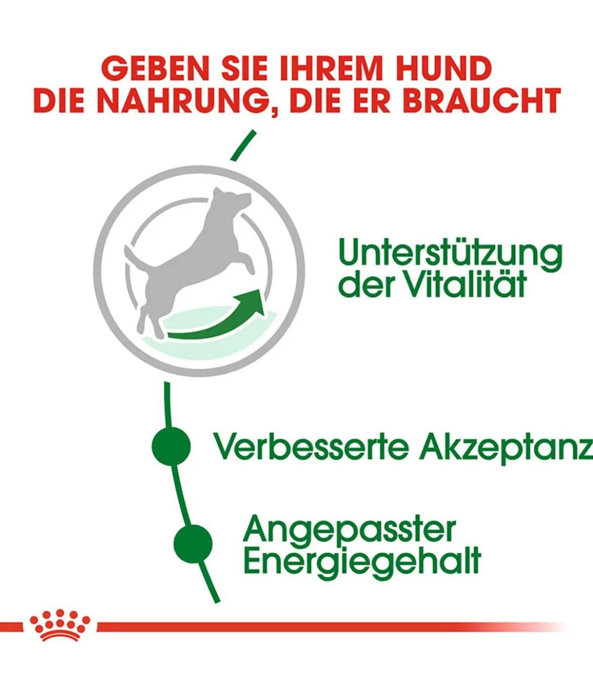 ROYAL CANIN® Trockenfutter für Hunde Mini Adult 8+