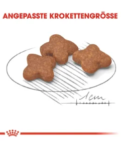 ROYAL CANIN® Trockenfutter für Hunde Mini Adult 8+