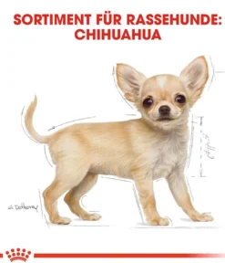ROYAL CANIN® Trockenfutter für Hunde Chihuahua Puppy