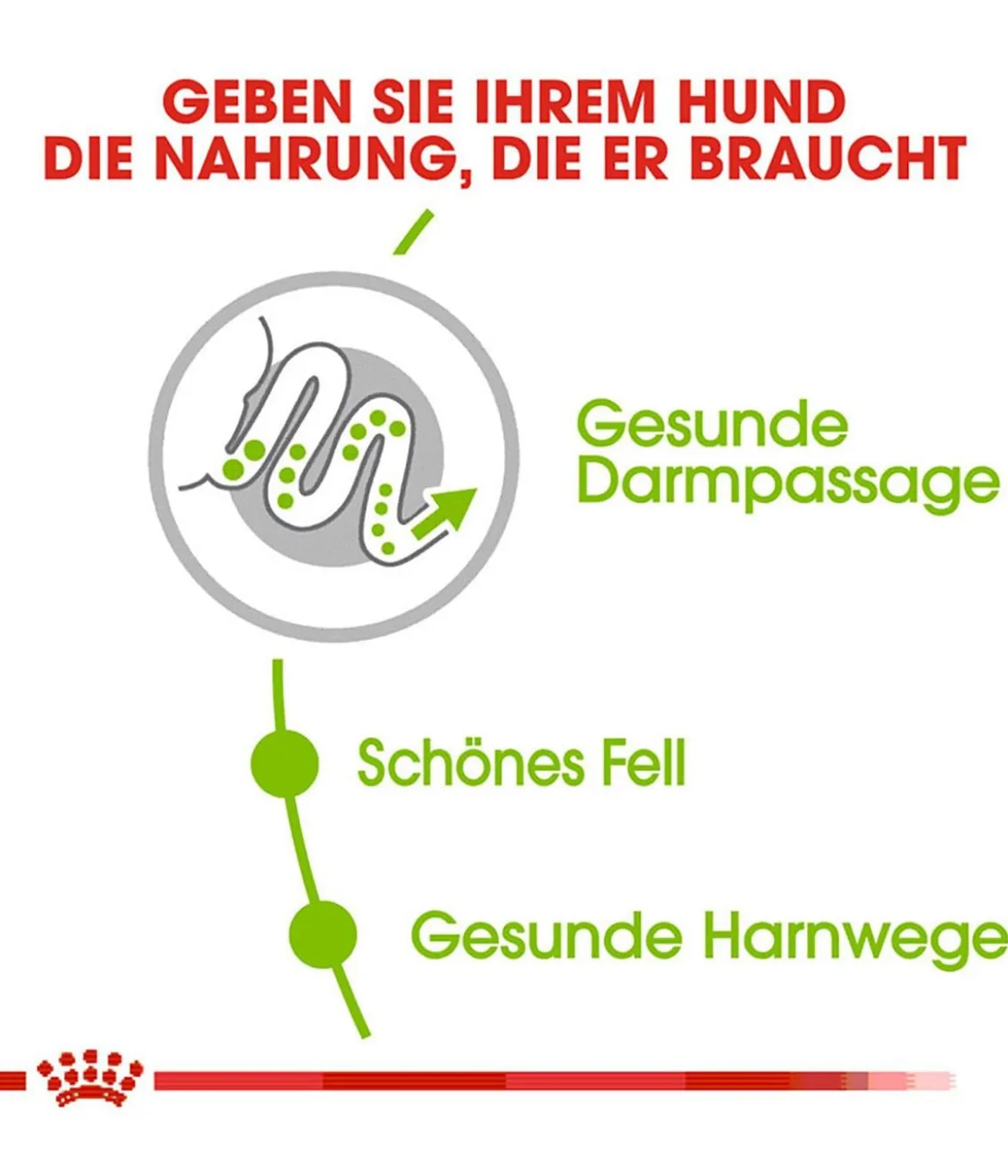 ROYAL CANIN® Trockenfutter für Hunde X-Small Adult
