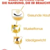 ROYAL CANIN® Trockenfutter für Hunde Pug Adult