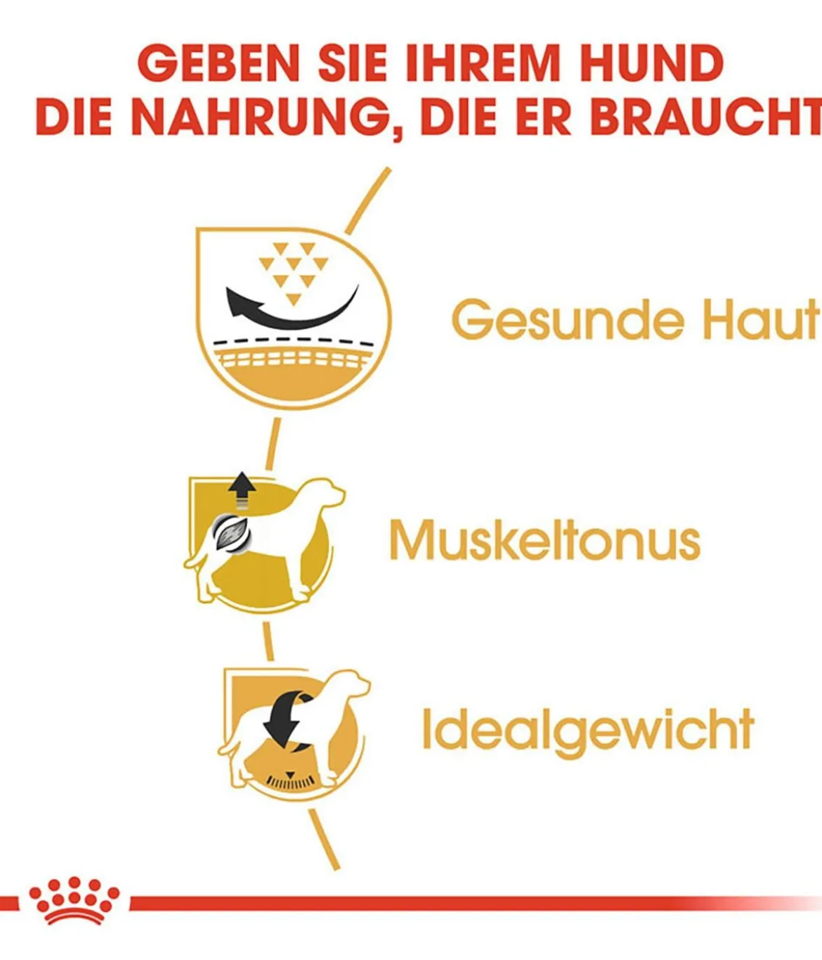 ROYAL CANIN® Trockenfutter für Hunde Pug Adult