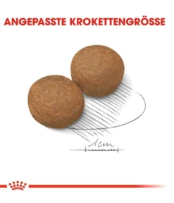 ROYAL CANIN® Trockenfutter für Hunde 5+ Maxi Adult