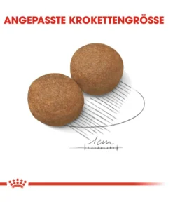 ROYAL CANIN® Trockenfutter für Hunde 5+ Maxi Adult