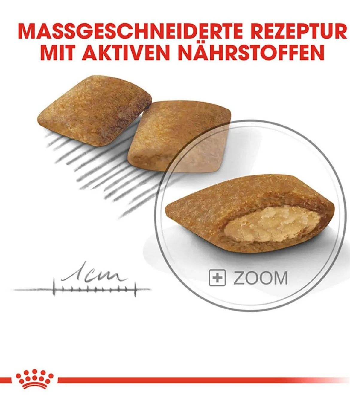 ROYAL CANIN® Trockenfutter für Hunde Exigent Mini