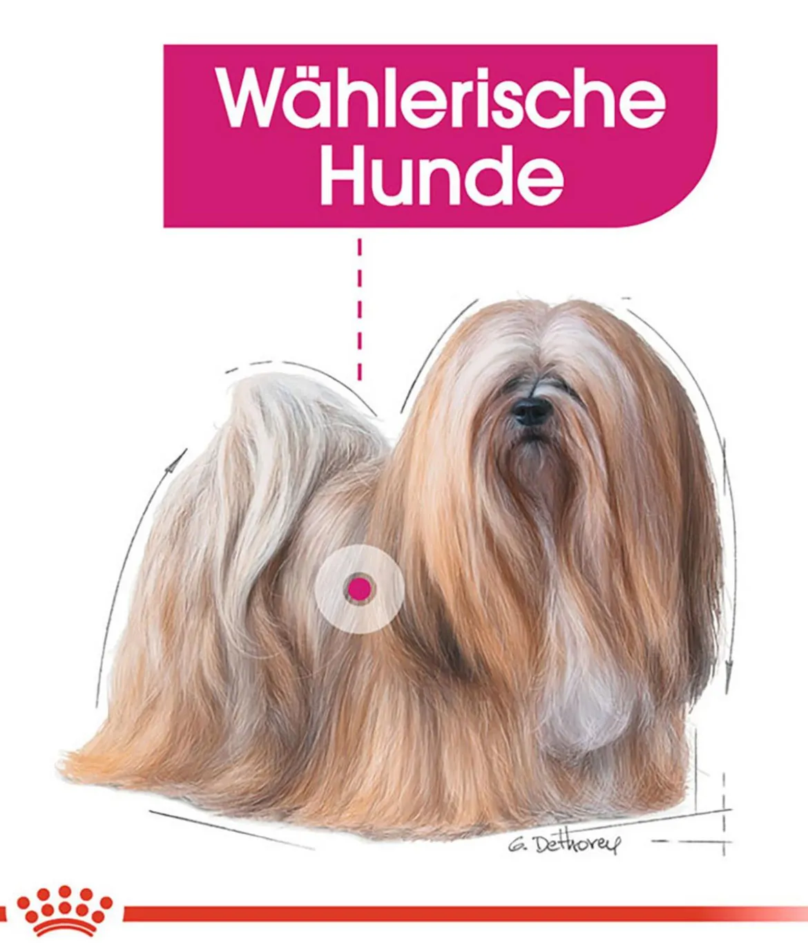 ROYAL CANIN® Trockenfutter für Hunde Exigent Mini