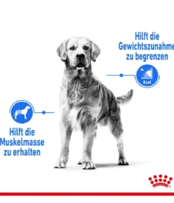 ROYAL CANIN® Trockenfutter für Hunde Light Weight Care Medium, 3 kg