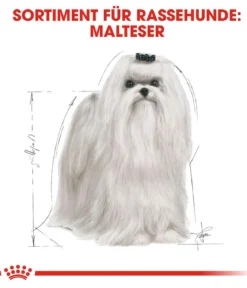 ROYAL CANIN® Trockenfutter für Hunde Maltese Adult