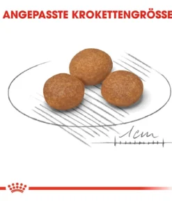 ROYAL CANIN® Trockenfutter für Hunde X-Small Adult 8+