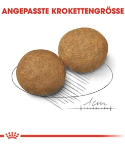 ROYAL CANIN® Trockenfutter für Hunde Medium Adult