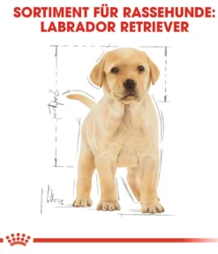 ROYAL CANIN® Trockenfutter für Hunde Labrador Retriever Puppy