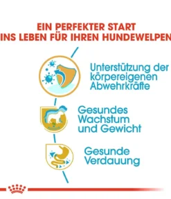 ROYAL CANIN® Trockenfutter für Hunde Labrador Retriever Puppy