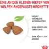 ROYAL CANIN® Trockenfutter für Hunde X-Small Puppy