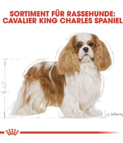 ROYAL CANIN® Trockenfutter für Hunde Cavalier King Charles Adult
