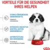 ROYAL CANIN® Trockenfutter für Hunde Giant Puppy, 15 kg