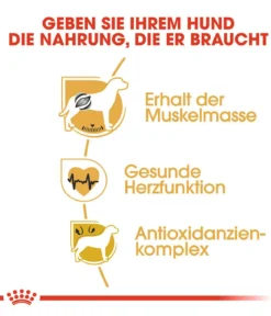 ROYAL CANIN® Trockenfutter für Hunde Boxer 26 Adult