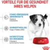 ROYAL CANIN® Trockenfutter für Hunde Mini Puppy