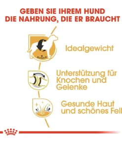 ROYAL CANIN® Trockenfutter für Hunde Labrador Retriever Adult
