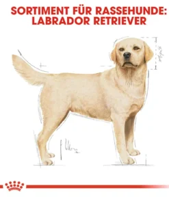 ROYAL CANIN® Trockenfutter für Hunde Labrador Retriever Adult