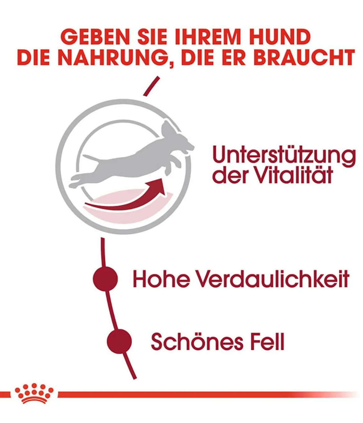 ROYAL CANIN® Trockenfutter für Hunde Medium Adult 7+