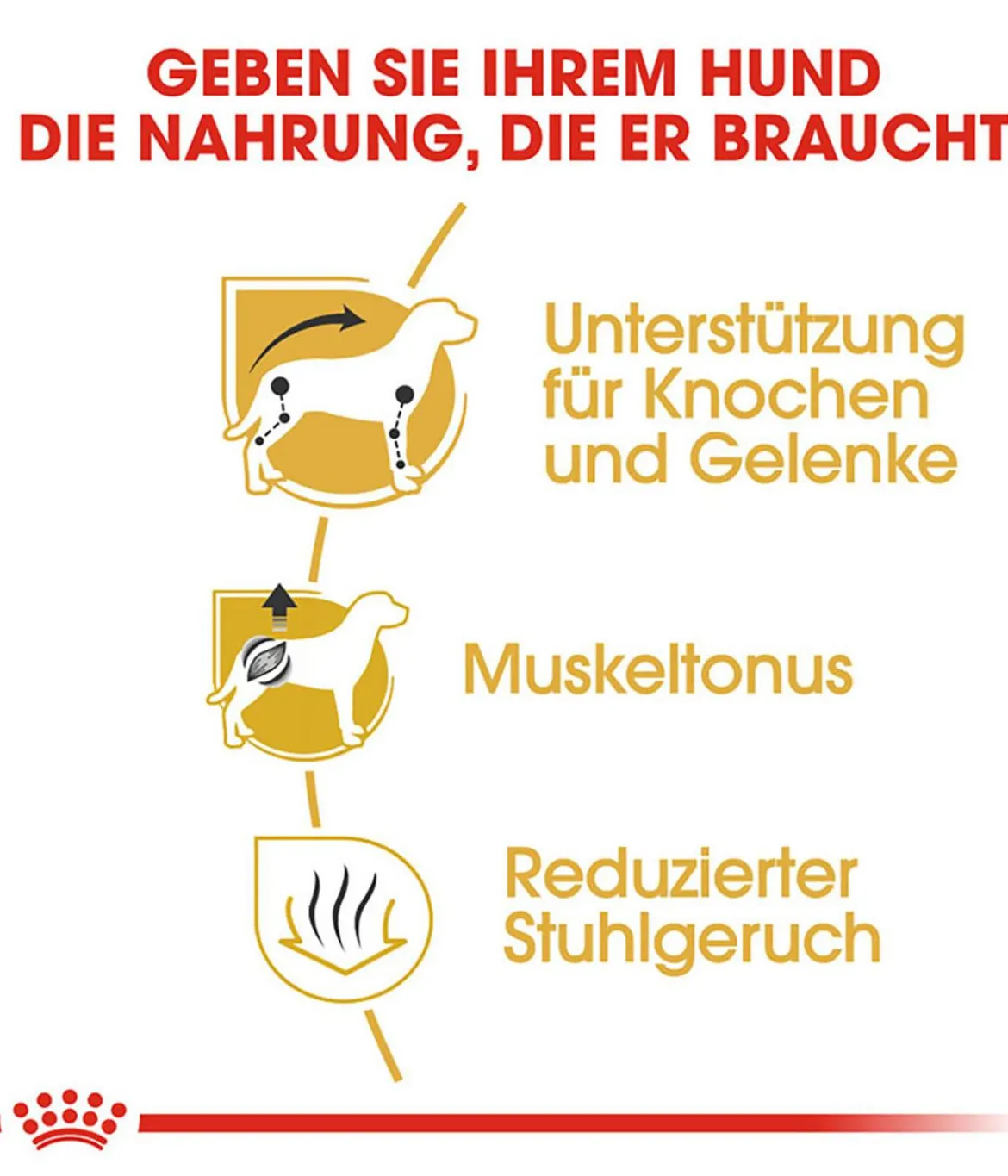 ROYAL CANIN® Trockenfutter für Hunde Dachshund Adult