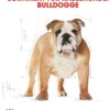 ROYAL CANIN® Trockenfutter für Hunde Bulldog