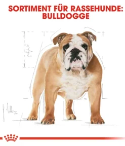 ROYAL CANIN® Trockenfutter für Hunde Bulldog