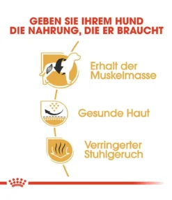 ROYAL CANIN® Trockenfutter für Hunde French Bulldog Adult, 9 kg