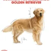 ROYAL CANIN® Trockenfutter für Hunde Golden Retriever Adult