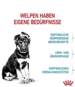 ROYAL CANIN® Trockenfutter für Hunde Maxi Puppy
