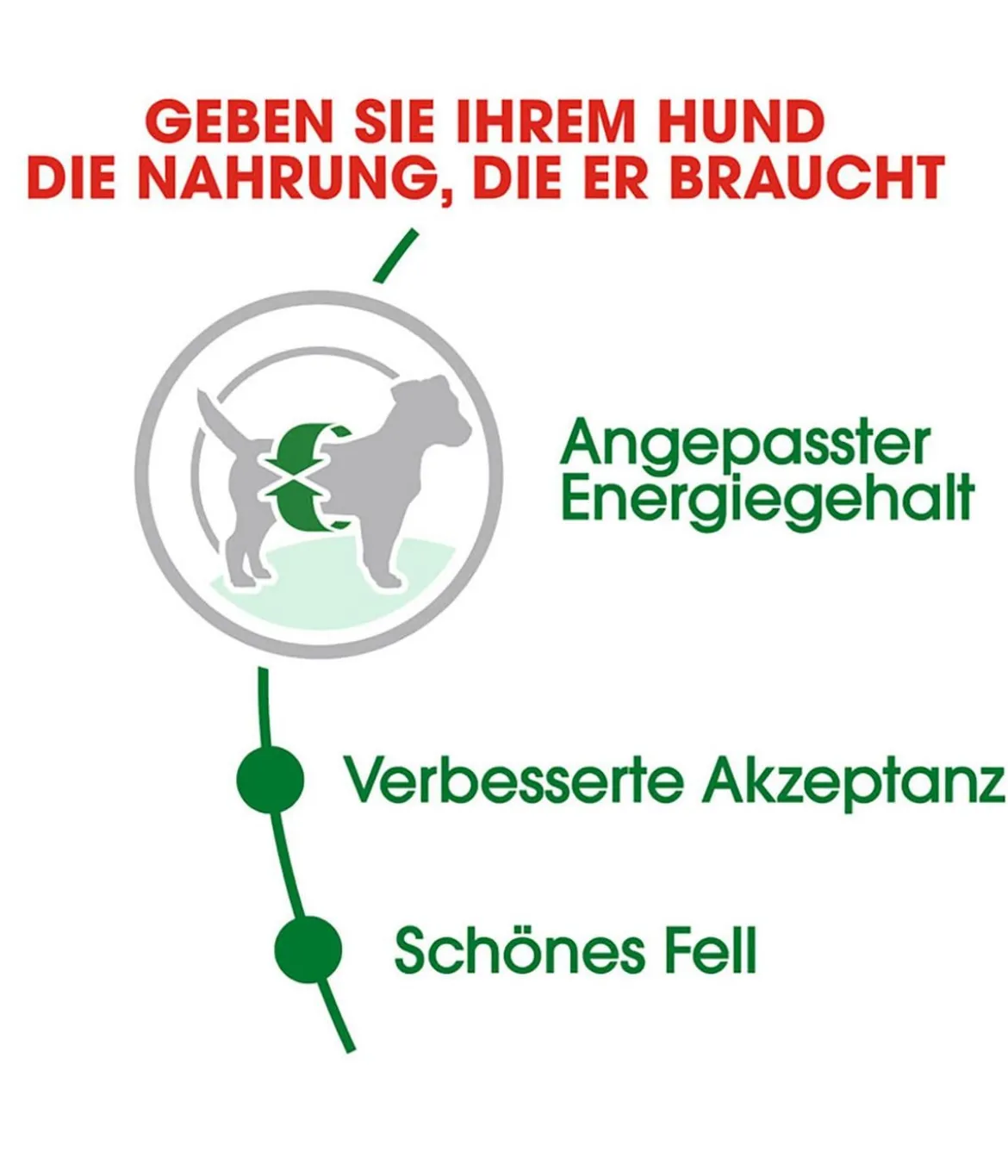 ROYAL CANIN® Trockenfutter für Hunde Mini Adult
