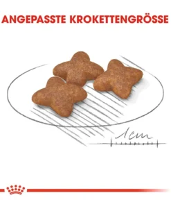 ROYAL CANIN® Trockenfutter für Hunde Mini Adult