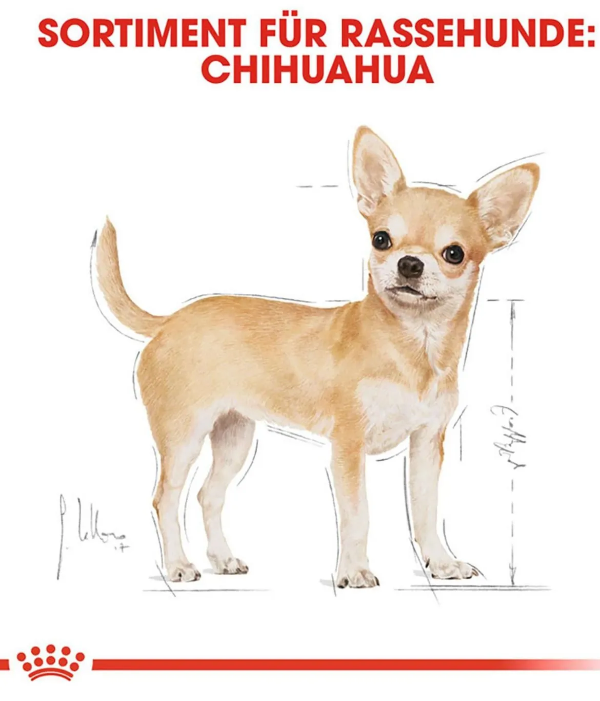 ROYAL CANIN® Trockenfutter für Hunde Chihuahua Adult