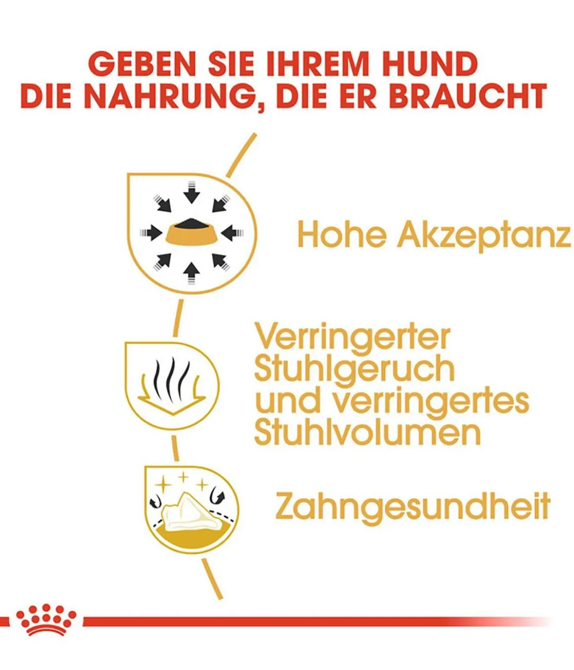 ROYAL CANIN® Trockenfutter für Hunde Chihuahua Adult