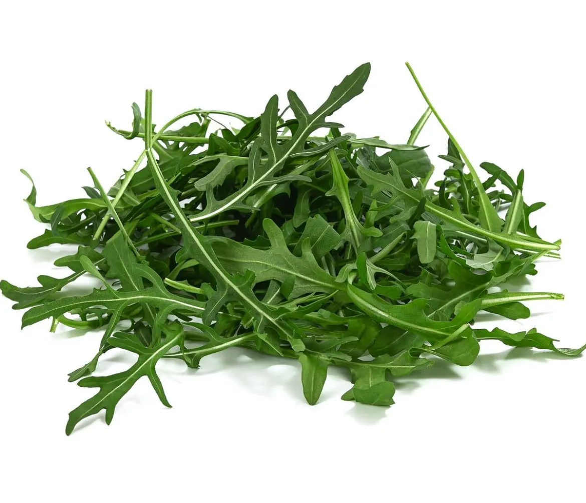 Rucola, 12er Schale