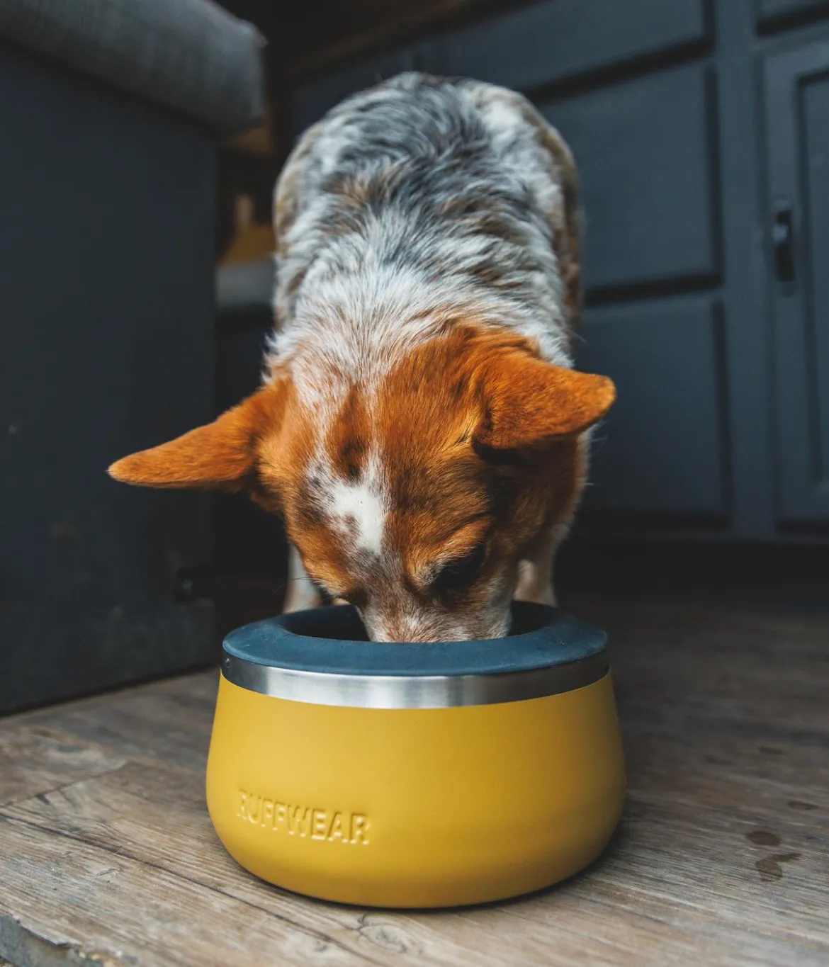 RUFFWEAR® Anti-Spritz-Ring Basecamp™
