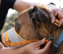 RUFFWEAR® Evakuierungsset BackTrak™