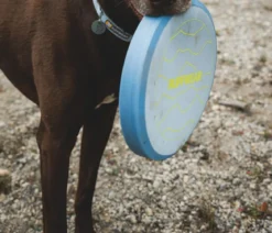 RUFFWEAR® Frisbeescheibe Camp Flyer™