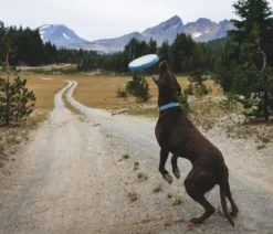 RUFFWEAR® Frisbeescheibe Camp Flyer™