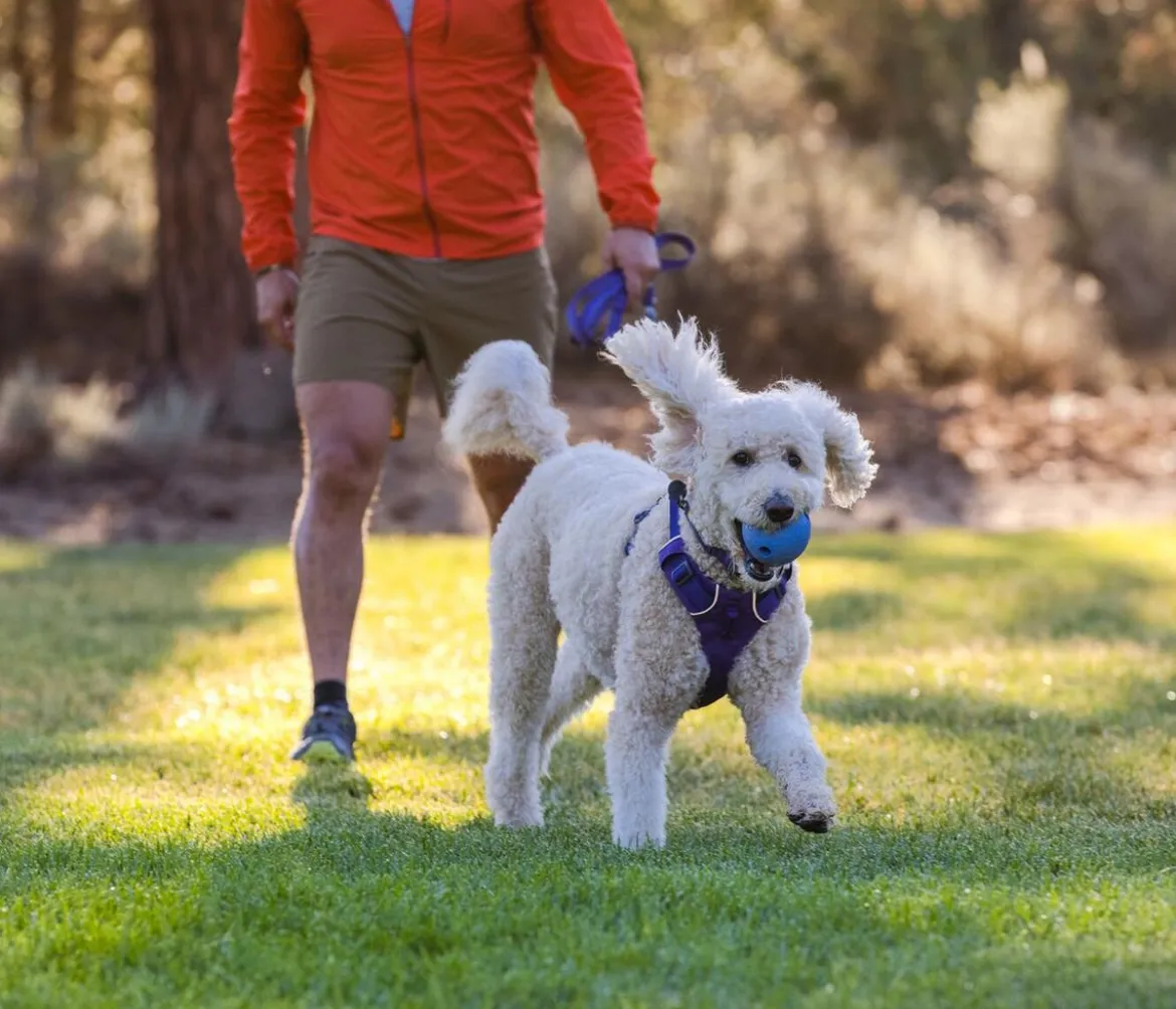 RUFFWEAR® Gummi-Wurfspielzeug Huckama™