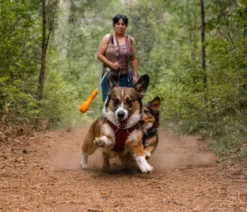 RUFFWEAR® Gummi-Wurfspielzeug Gourdo™