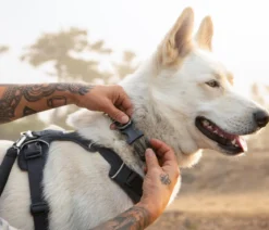 RUFFWEAR® Halsband Front Range™