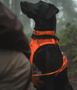 RUFFWEAR® Halsband Front Range™