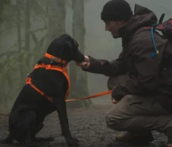RUFFWEAR® Halsband Front Range™