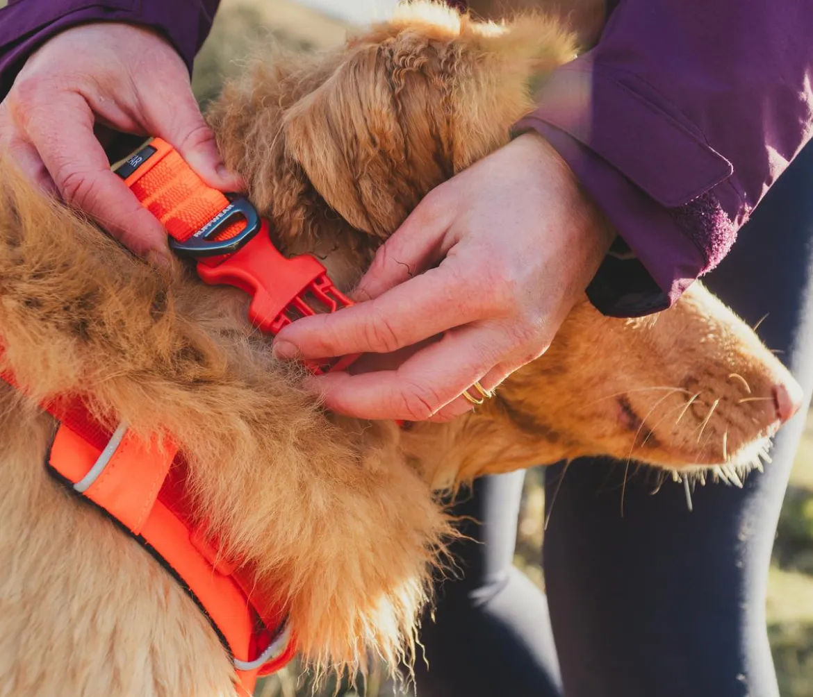 RUFFWEAR® Halsband Front Range™